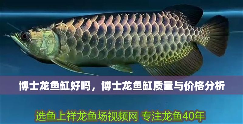 博士龍魚缸好嗎，博士龍魚缸質(zhì)量與價(jià)格分析