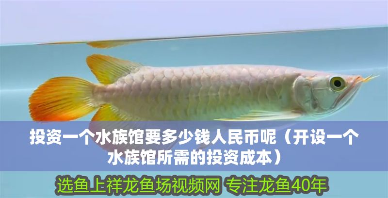 投資一個水族館要多少錢人民幣呢(開設(shè)一個水族館所需的投資成本) 水族館百科(水族館加盟) 第1張 投資一個水族館要多少錢人民幣呢(開設(shè)一個水族館所需的投資成本) 投資一個水族館要多少錢人民幣呢(開設(shè)一個水族館所需的投資成本) 水族館百科(水族館加盟) 第1張