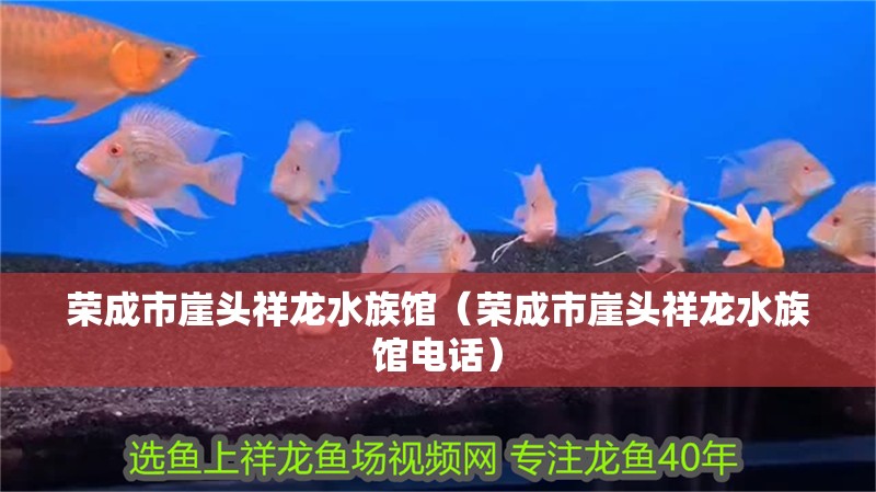 榮成市崖頭祥龍水族館（榮成市崖頭祥龍水族館電話）