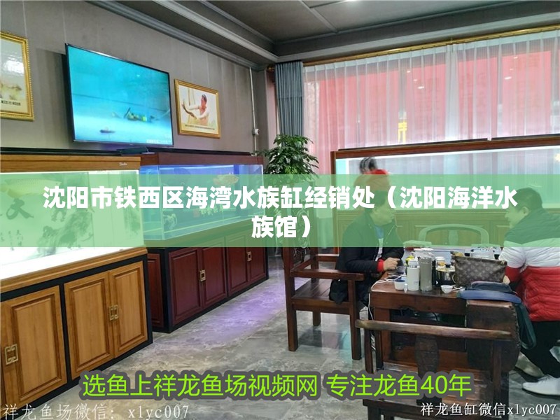 沈陽市鐵西區海灣水族缸經銷處（沈陽海洋水族館）