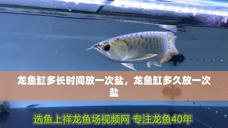 龍魚缸多長時間放一次鹽，龍魚缸多久放一次鹽 龍魚缸多長時間放一次鹽，龍魚缸多久放一次鹽 魚缸百科 第2張