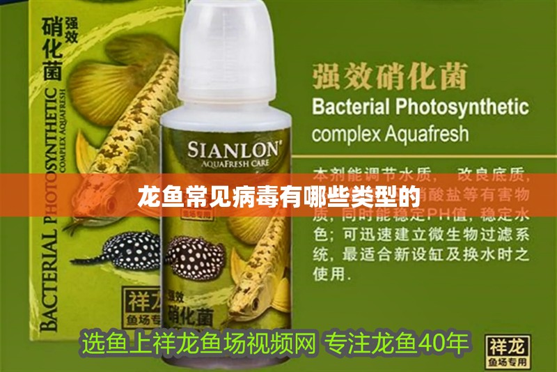 龍魚常見病毒有哪些類型的