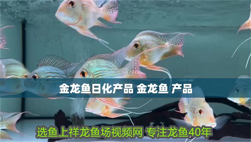 金龍魚日化產品 金龍魚 產品