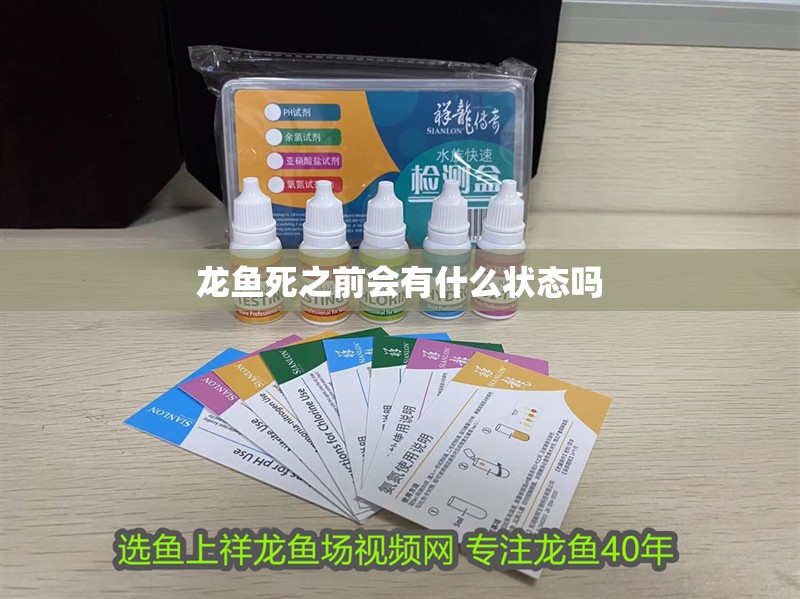 龍魚死之前會有什么狀態嗎