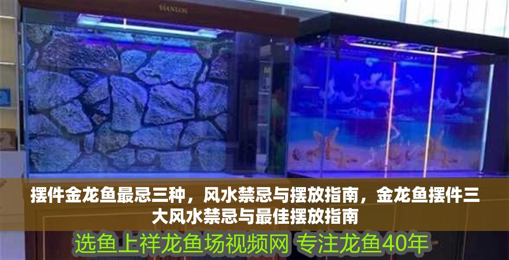 擺件金龍魚最忌三種，風水禁忌與擺放指南，金龍魚擺件三大風水禁忌與最佳擺放指南