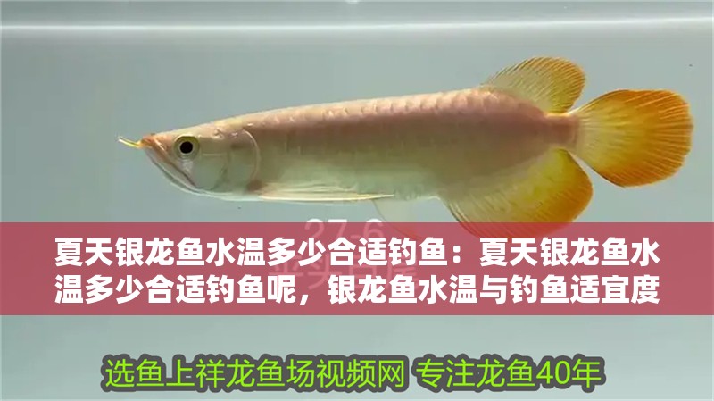夏天銀龍魚水溫多少合適釣魚：夏天銀龍魚水溫多少合適釣魚呢，銀龍魚水溫與釣魚適宜度探究