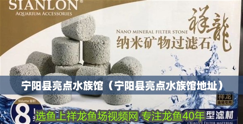 寧陽縣亮點水族館（寧陽縣亮點水族館地址）