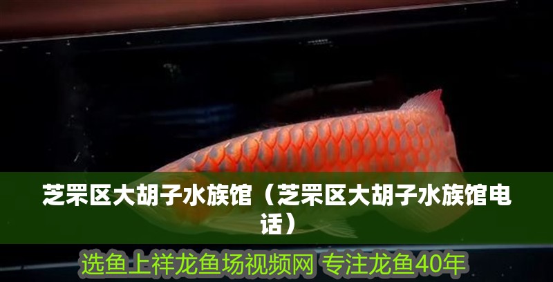 芝罘區大胡子水族館（芝罘區大胡子水族館電話）