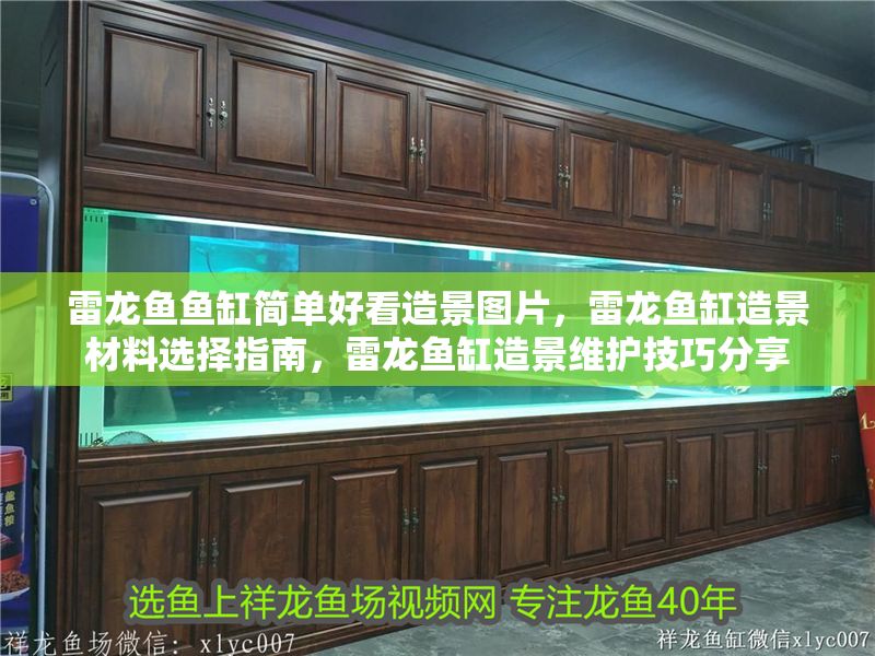 雷龍魚魚缸簡(jiǎn)單好看造景圖片，雷龍魚缸造景材料選擇指南，雷龍魚缸造景維護(hù)技巧分享 雷龍魚魚缸簡(jiǎn)單好看造景圖片，雷龍魚缸造景材料選擇指南，雷龍魚缸造景維護(hù)技巧分享 魚缸百科 第1張