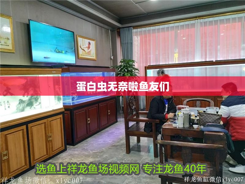蛋白蟲無奈啦魚友們