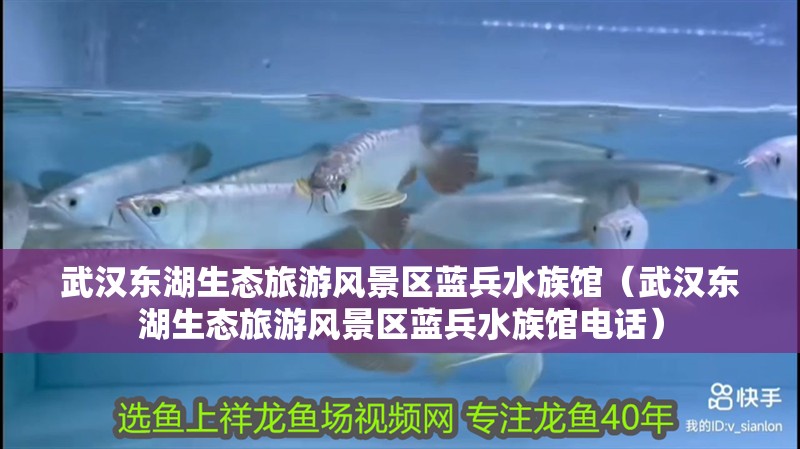 武漢東湖生態旅游風景區藍兵水族館（武漢東湖生態旅游風景區藍兵水族館電話）