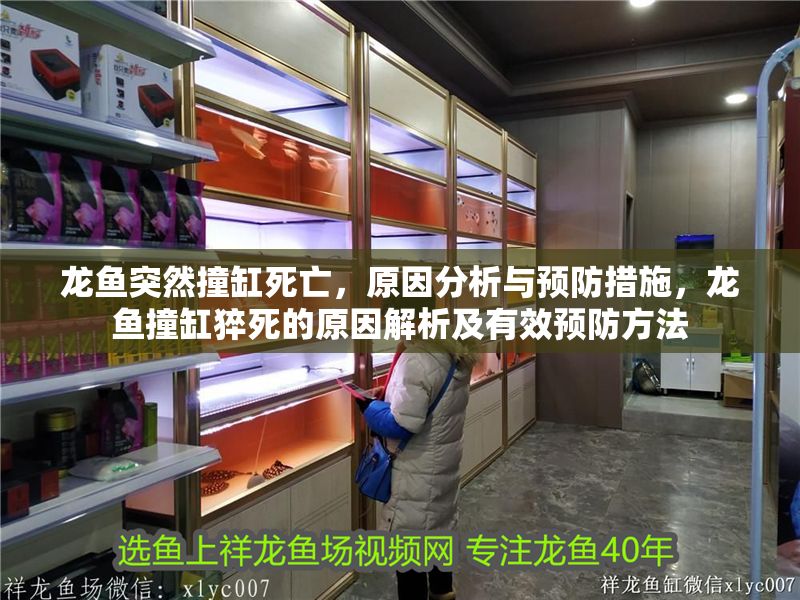 龍魚突然撞缸死亡，原因分析與預防措施，龍魚撞缸猝死的原因解析及有效預防方法