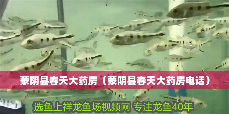 蒙陰縣春天大藥房（蒙陰縣春天大藥房電話）