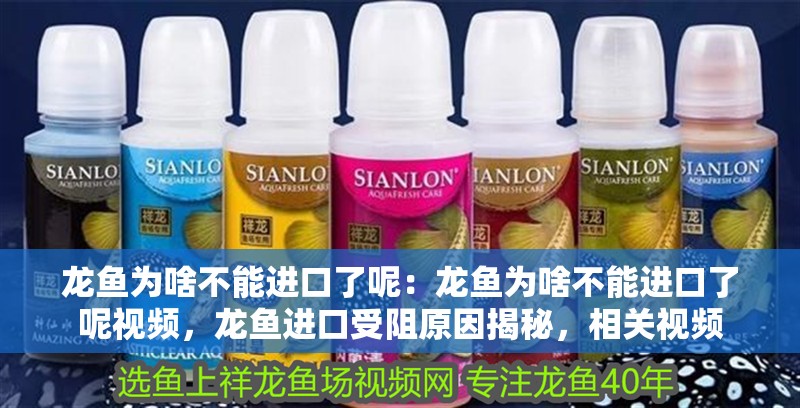 龍魚為啥不能進口了呢：龍魚為啥不能進口了呢視頻，龍魚進口受阻原因揭秘，相關視頻