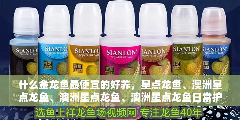 什么金龍魚最便宜的好養(yǎng)，星點(diǎn)龍魚、澳洲星點(diǎn)龍魚、澳洲星點(diǎn)龍魚、澳洲星點(diǎn)龍魚日常護(hù)理要點(diǎn) 什么金龍魚最便宜的好養(yǎng)，星點(diǎn)龍魚、澳洲星點(diǎn)龍魚、澳洲星點(diǎn)龍魚、澳洲星點(diǎn)龍魚日常護(hù)理要點(diǎn) 龍魚百科 第2張