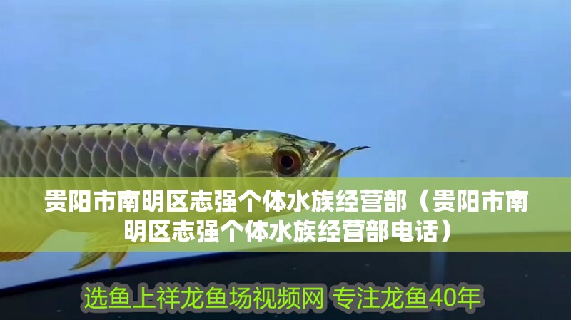 貴陽市南明區志強個體水族經營部（貴陽市南明區志強個體水族經營部電話）