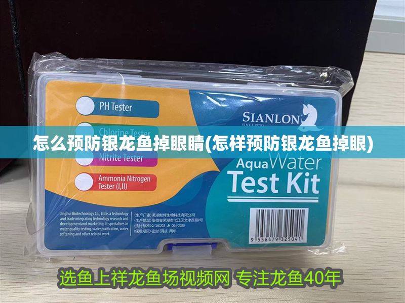 怎么預防銀龍魚掉眼睛(怎樣預防銀龍魚掉眼) 銀龍魚百科 第1張 怎么預防銀龍魚掉眼睛(怎樣預防銀龍魚掉眼) 怎么預防銀龍魚掉眼睛(怎樣預防銀龍魚掉眼) 銀龍魚百科 第1張