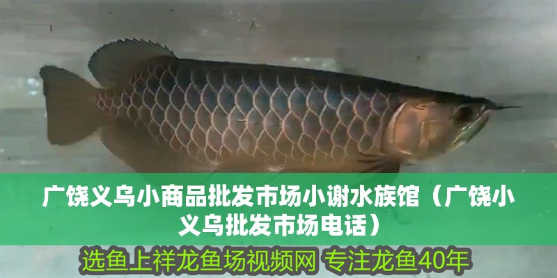 廣饒義烏小商品批發(fā)市場(chǎng)小謝水族館（廣饒小義烏批發(fā)市場(chǎng)電話）