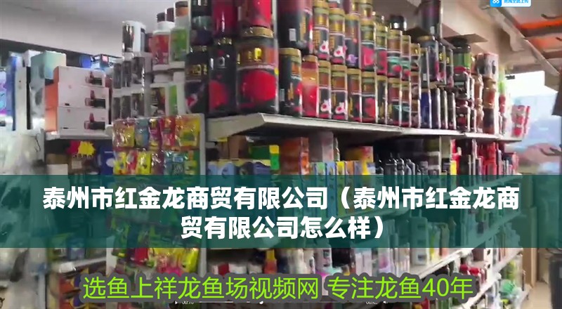 泰州市紅金龍商貿有限公司（泰州市紅金龍商貿有限公司怎么樣） 泰州市紅金龍商貿有限公司（泰州市紅金龍商貿有限公司怎么樣） 全國水族館企業名錄 第2張