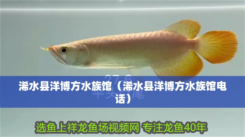 浠水縣洋博方水族館（浠水縣洋博方水族館電話）
