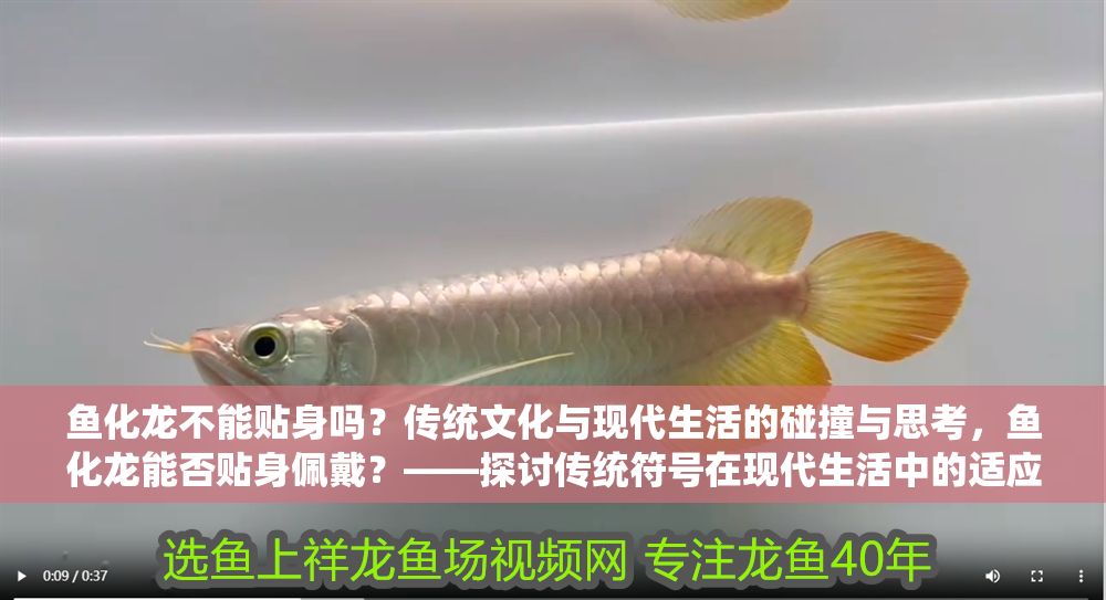魚化龍不能貼身嗎？傳統文化與現代生活的碰撞與思考，魚化龍能否貼身佩戴？——探討傳統符號在現代生活中的適應與沖突