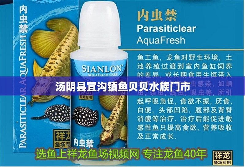 湯陰縣宜溝鎮(zhèn)魚貝貝水族門市