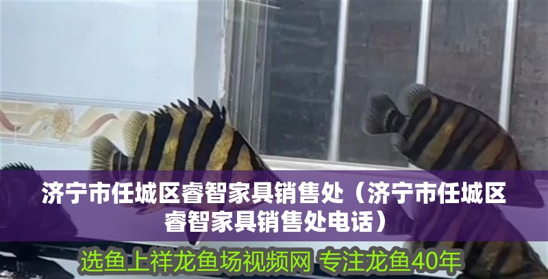 濟寧市任城區睿智家具銷售處（濟寧市任城區睿智家具銷售處電話）