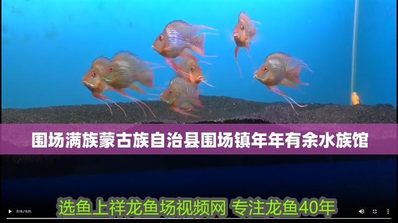 圍場滿族蒙古族自治縣圍場鎮(zhèn)年年有余水族館
