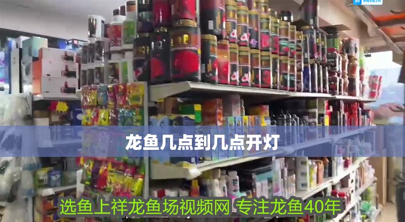 龍魚幾點到幾點開燈 龍魚幾點到幾點開燈 龍魚百科 第4張