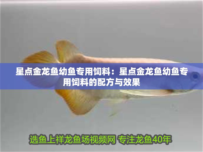 星點金龍魚幼魚專用飼料：星點金龍魚幼魚專用飼料的配方與效果 星點金龍魚幼魚專用飼料：星點金龍魚幼魚專用飼料的配方與效果 金龍魚百科 第2張