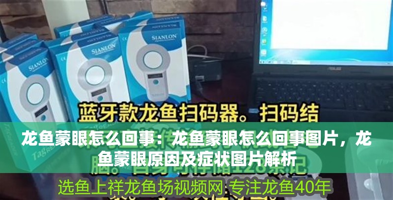 龍魚蒙眼怎么回事：龍魚蒙眼怎么回事圖片，龍魚蒙眼原因及癥狀圖片解析