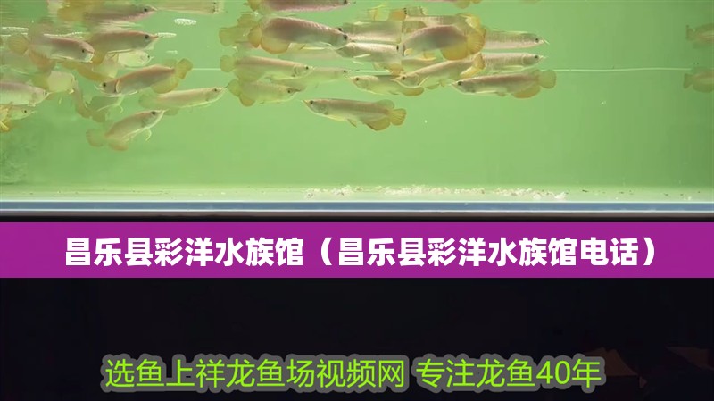 昌樂縣彩洋水族館（昌樂縣彩洋水族館電話）