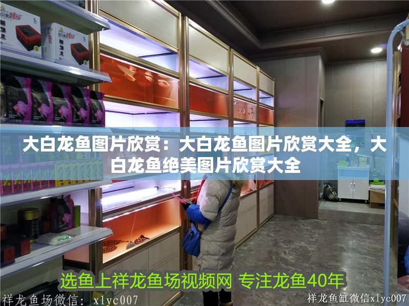 大白龍魚圖片欣賞：大白龍魚圖片欣賞大全，大白龍魚絕美圖片欣賞大全