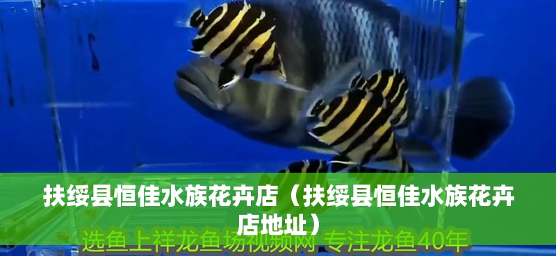 扶綏縣恒佳水族花卉店（扶綏縣恒佳水族花卉店地址）