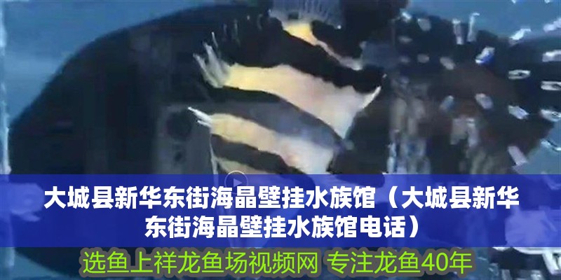 大城縣新華東街海晶壁掛水族館（大城縣新華東街海晶壁掛水族館電話）