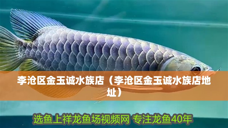李滄區金玉誠水族店（李滄區金玉誠水族店地址）