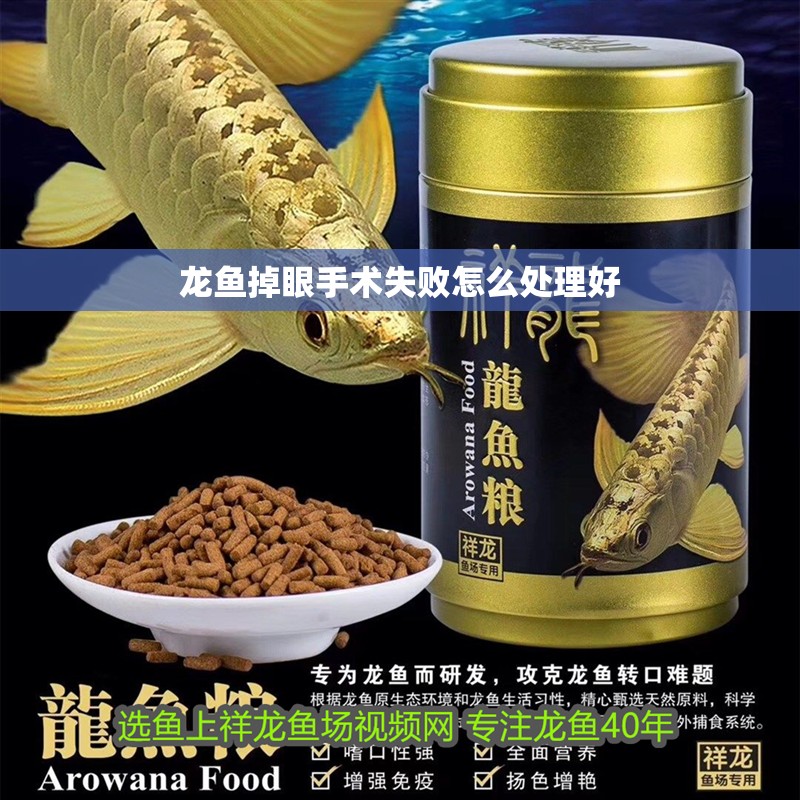 龍魚掉眼手術失敗怎么處理好 龍魚掉眼手術失敗怎么處理好 龍魚百科 第2張