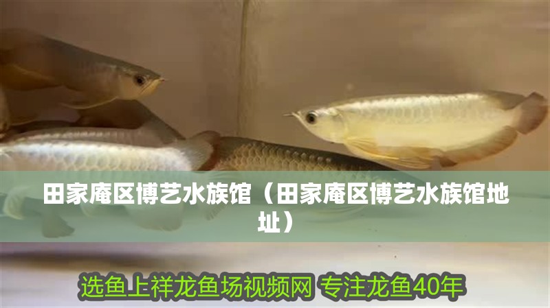 田家庵區博藝水族館（田家庵區博藝水族館地址）