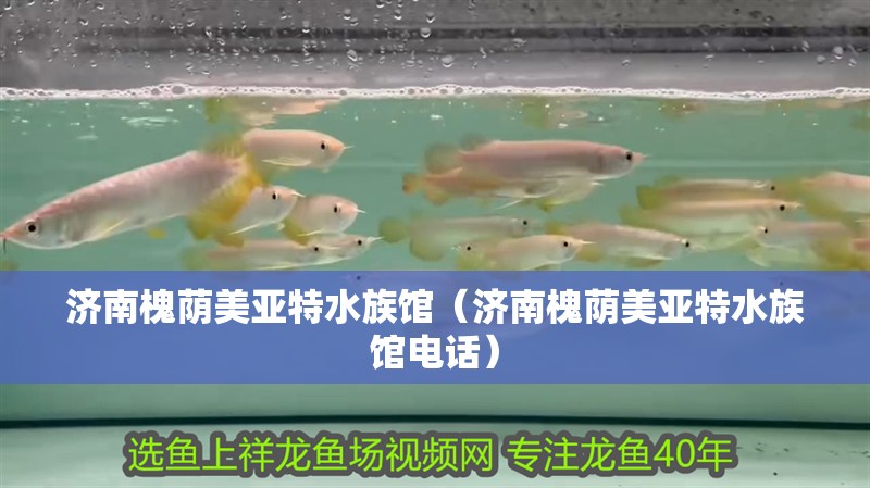 濟南槐蔭美亞特水族館（濟南槐蔭美亞特水族館電話） 濟南槐蔭美亞特水族館（濟南槐蔭美亞特水族館電話） 全國水族館企業名錄 第2張
