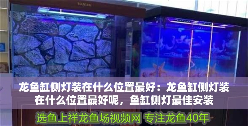 龍魚缸側燈裝在什么位置最好：龍魚缸側燈裝在什么位置最好呢，魚缸側燈最佳安裝