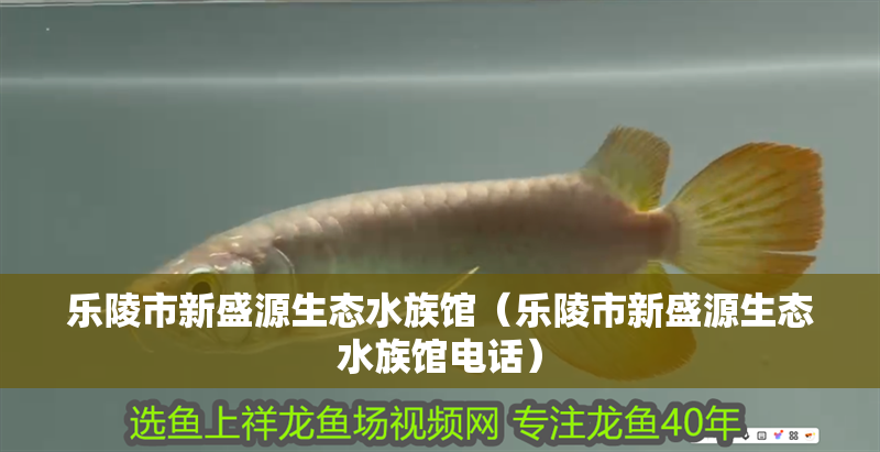樂陵市新盛源生態(tài)水族館（樂陵市新盛源生態(tài)水族館電話）