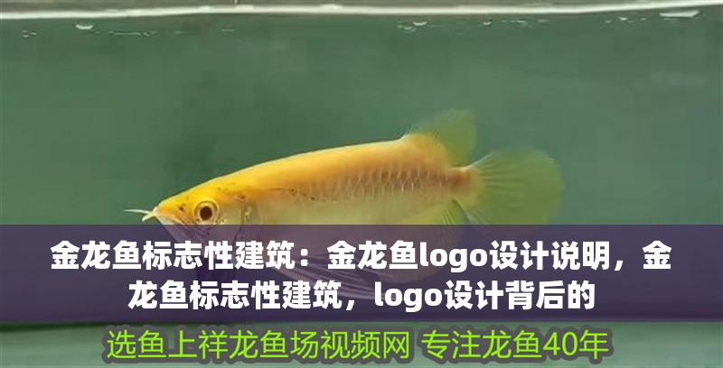 金龍魚標志性建筑：金龍魚logo設計說明，金龍魚標志性建筑，logo設計背后的