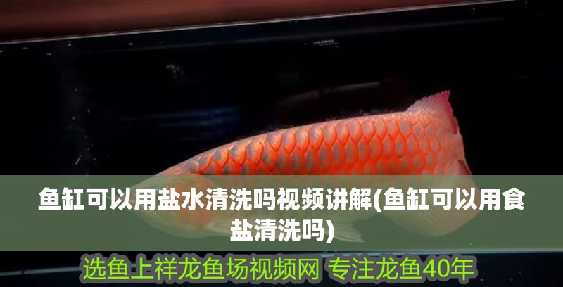 魚缸可以用鹽水清洗嗎視頻講解(魚缸可以用食鹽清洗嗎)