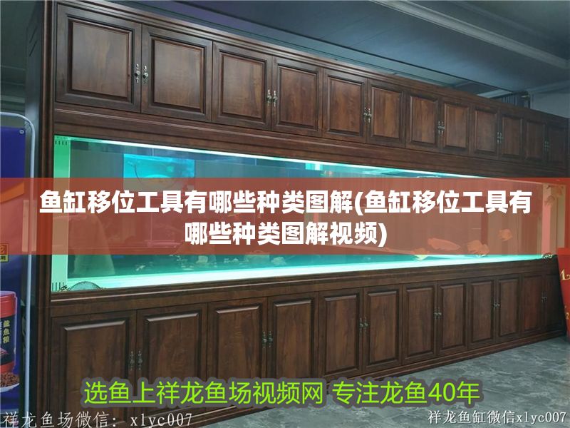 魚缸移位工具有哪些種類圖解(魚缸移位工具有哪些種類圖解視頻)