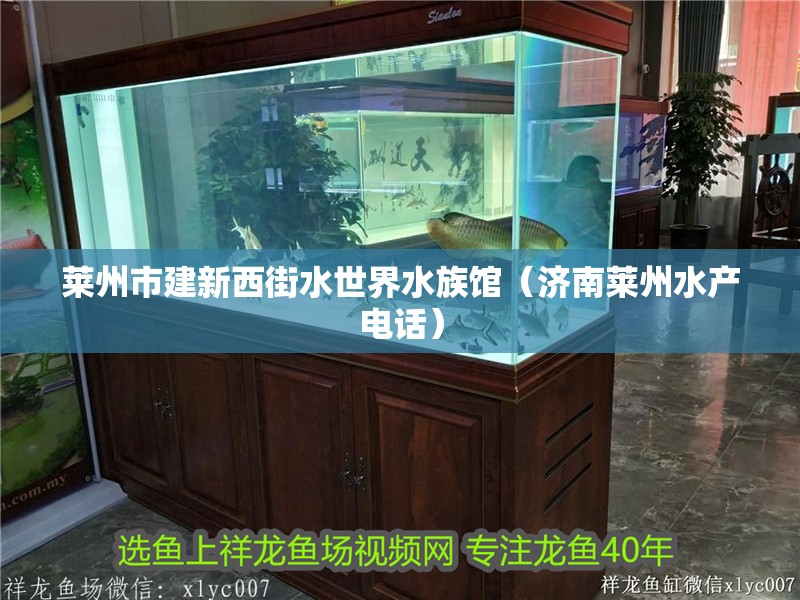萊州市建新西街水世界水族館（濟南萊州水產電話）