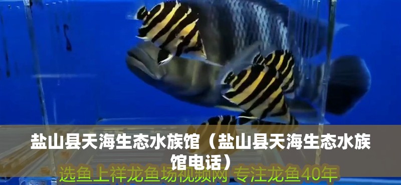 鹽山縣天海生態水族館（鹽山縣天海生態水族館電話）