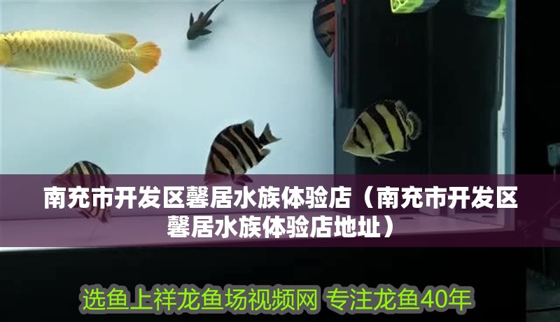南充市開發區馨居水族體驗店（南充市開發區馨居水族體驗店地址）