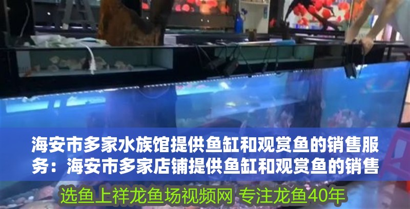 海安市多家水族館提供魚缸和觀賞魚的銷售服務：海安市多家店鋪提供魚缸和觀賞魚的銷售服務
