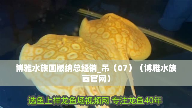 博雅水族畫版納總經銷_吊（07）（博雅水族畫官網）