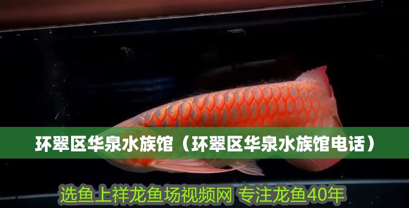 環(huán)翠區(qū)華泉水族館（環(huán)翠區(qū)華泉水族館電話） 環(huán)翠區(qū)華泉水族館（環(huán)翠區(qū)華泉水族館電話） 全國水族館企業(yè)名錄 第2張